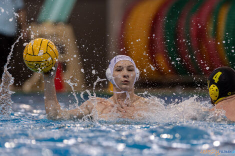 KS Waterpolo Poznań - ŁSTW Waterpolo Łódź  Foto: lepszyPOZNAN.pl/Piotr Rychter