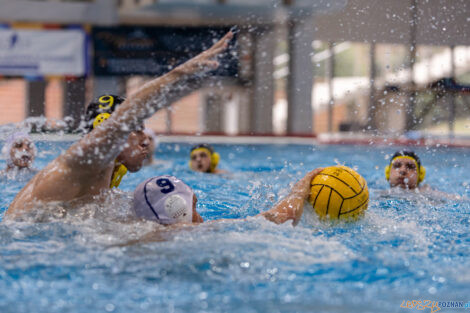 KS Waterpolo Poznań - ŁSTW Waterpolo Łódź  Foto: lepszyPOZNAN.pl/Piotr Rychter