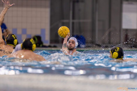 KS Waterpolo Poznań - ŁSTW Waterpolo Łódź  Foto: lepszyPOZNAN.pl/Piotr Rychter