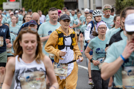 10. WImgs of Life World Run Poznań  Foto: lepszyPOZNAN.pl/Piotr Rychter