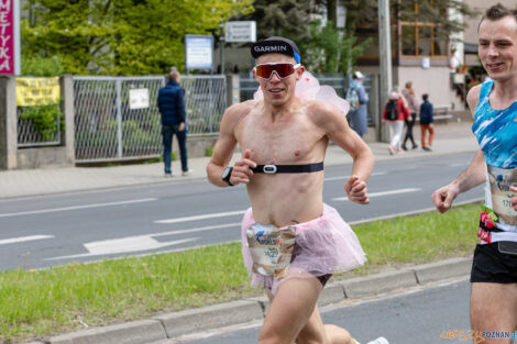 10. WImgs of Life World Run Poznań  Foto: lepszyPOZNAN.pl/Piotr Rychter