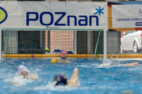 Waterpolo Poznań - UKS Neptun Łódź  Foto: lepszyPOZNAN.pl/Piotr Rychter