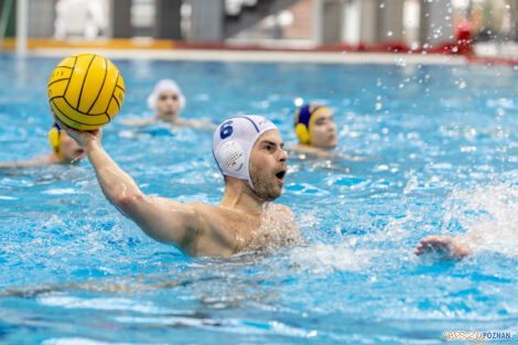 Waterpolo Poznań - UKS Neptun Łódź  Foto: lepszyPOZNAN.pl/Piotr Rychter