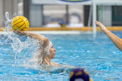 Waterpolo Poznań - UKS Neptun Łódź  Foto: lepszyPOZNAN.pl/Piotr Rychter