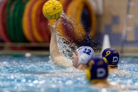 Waterpolo Poznań - UKS Neptun Łódź  Foto: lepszyPOZNAN.pl/Piotr Rychter