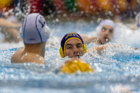 Waterpolo Poznań - UKS Neptun Łódź  Foto: lepszyPOZNAN.pl/Piotr Rychter