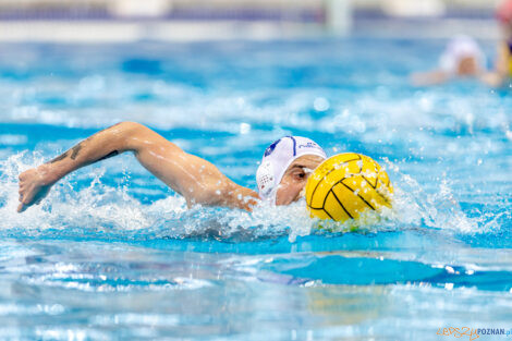 Waterpolo Poznań - UKS Neptun Łódź  Foto: lepszyPOZNAN.pl/Piotr Rychter