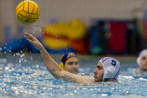 Waterpolo Poznań - UKS Neptun Łódź  Foto: lepszyPOZNAN.pl/Piotr Rychter