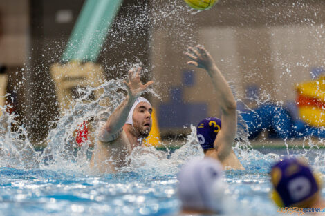 Waterpolo Poznań - UKS Neptun Łódź  Foto: lepszyPOZNAN.pl/Piotr Rychter