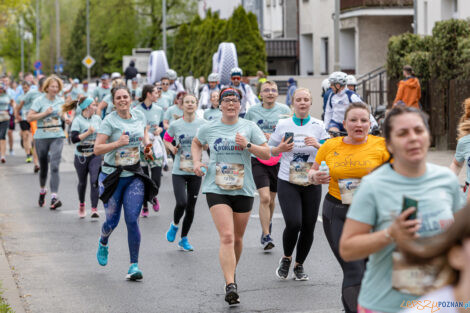 10. WImgs of Life World Run Poznań  Foto: lepszyPOZNAN.pl/Piotr Rychter