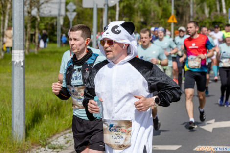 10. WImgs of Life World Run Poznań  Foto: lepszyPOZNAN.pl/Piotr Rychter