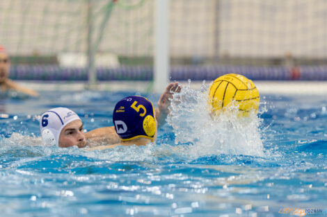 Waterpolo Poznań - UKS Neptun Łódź  Foto: lepszyPOZNAN.pl/Piotr Rychter