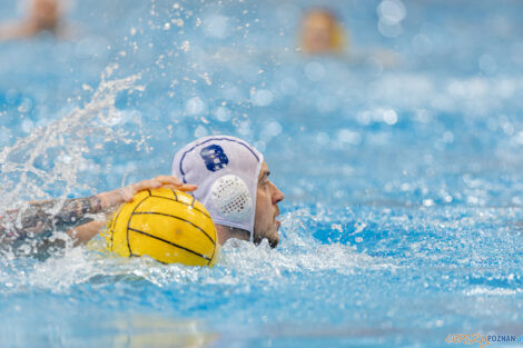 Waterpolo Poznań - UKS Neptun Łódź  Foto: lepszyPOZNAN.pl/Piotr Rychter