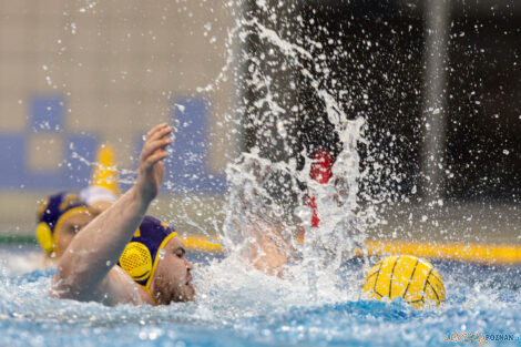 Waterpolo Poznań - UKS Neptun Łódź  Foto: lepszyPOZNAN.pl/Piotr Rychter