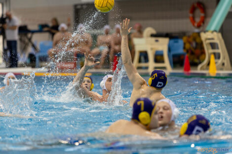 Waterpolo Poznań - UKS Neptun Łódź  Foto: lepszyPOZNAN.pl/Piotr Rychter