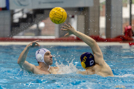 Waterpolo Poznań - UKS Neptun Łódź  Foto: lepszyPOZNAN.pl/Piotr Rychter