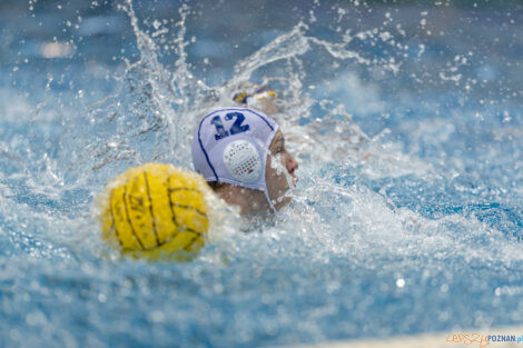 Waterpolo Poznań - UKS Neptun Łódź  Foto: lepszyPOZNAN.pl/Piotr Rychter