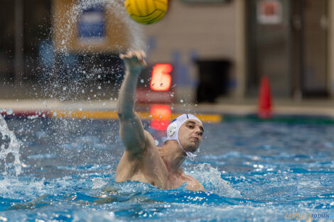 Waterpolo Poznań - UKS Neptun Łódź  Foto: lepszyPOZNAN.pl/Piotr Rychter