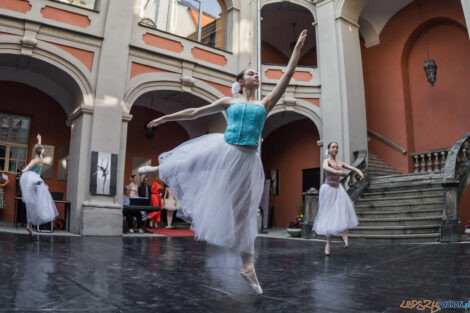 Dni polskie na Gołębiej - OSB-12.05.2023  Foto: lepszyPOZNAN.PL/Ewelina Jaskowiak