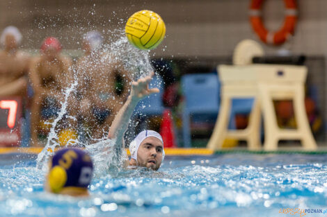 Waterpolo Poznań - UKS Neptun Łódź  Foto: lepszyPOZNAN.pl/Piotr Rychter