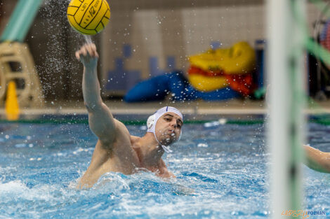 Waterpolo Poznań - UKS Neptun Łódź  Foto: lepszyPOZNAN.pl/Piotr Rychter