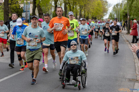 10. WImgs of Life World Run Poznań  Foto: lepszyPOZNAN.pl/Piotr Rychter