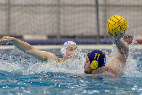 Waterpolo Poznań - UKS Neptun Łódź  Foto: lepszyPOZNAN.pl/Piotr Rychter