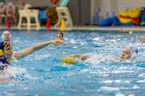 Waterpolo Poznań - UKS Neptun Łódź  Foto: lepszyPOZNAN.pl/Piotr Rychter