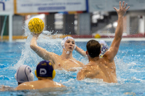 Waterpolo Poznań - UKS Neptun Łódź  Foto: lepszyPOZNAN.pl/Piotr Rychter