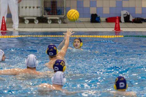 Waterpolo Poznań - UKS Neptun Łódź  Foto: lepszyPOZNAN.pl/Piotr Rychter