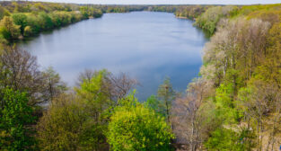 Jezioro Rusałka  Foto: lepszyPOZNAN.pl / Piotr Rychter