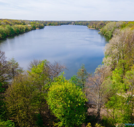 Jezioro Rusałka  Foto: lepszyPOZNAN.pl / Piotr Rychter