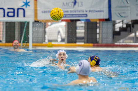 Waterpolo Poznań - UKS Neptun Łódź  Foto: lepszyPOZNAN.pl/Piotr Rychter