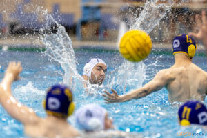 Waterpolo Poznań - UKS Neptun Łódź  Foto: lepszyPOZNAN.pl/Piotr Rychter