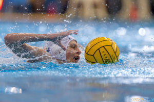 Waterpolo Poznań - UKS Neptun Łódź  Foto: lepszyPOZNAN.pl/Piotr Rychter