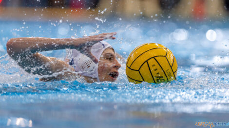 Waterpolo Poznań - UKS Neptun Łódź  Foto: lepszyPOZNAN.pl/Piotr Rychter
