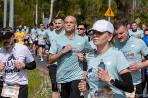 10. WImgs of Life World Run Poznań  Foto: lepszyPOZNAN.pl/Piotr Rychter