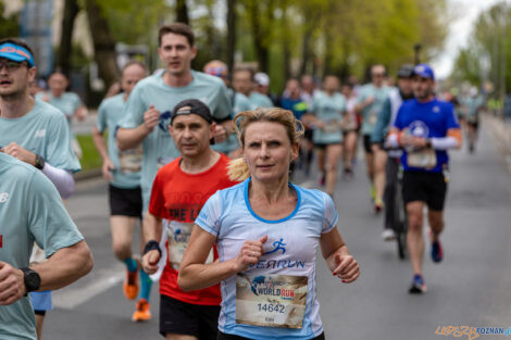 10. WImgs of Life World Run Poznań  Foto: lepszyPOZNAN.pl/Piotr Rychter