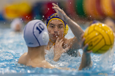 Waterpolo Poznań - UKS Neptun Łódź  Foto: lepszyPOZNAN.pl/Piotr Rychter