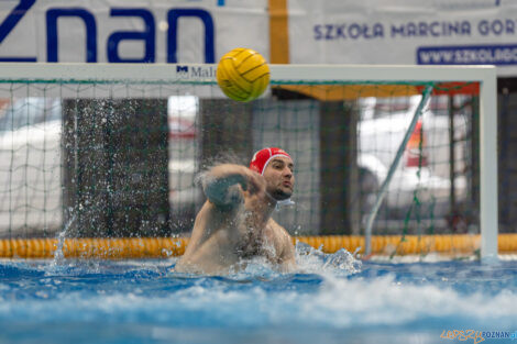 Waterpolo Poznań - UKS Neptun Łódź  Foto: lepszyPOZNAN.pl/Piotr Rychter