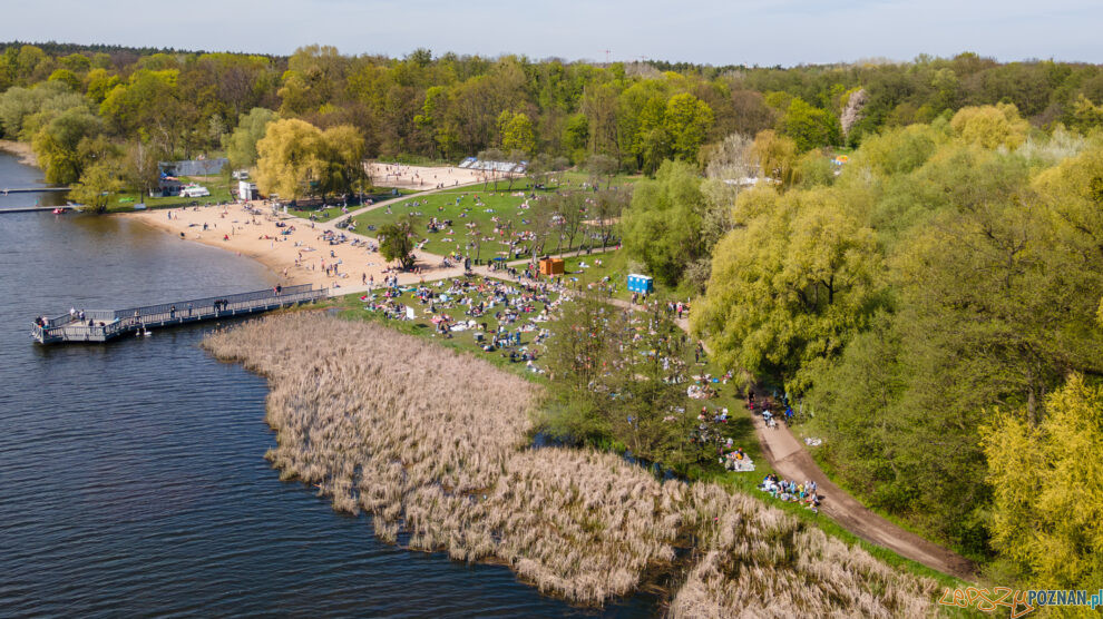 Jezioro Rusałka, plaża, miejsce do grilowania  Foto: lepszyPOZNAN.pl / Piotr Rychter