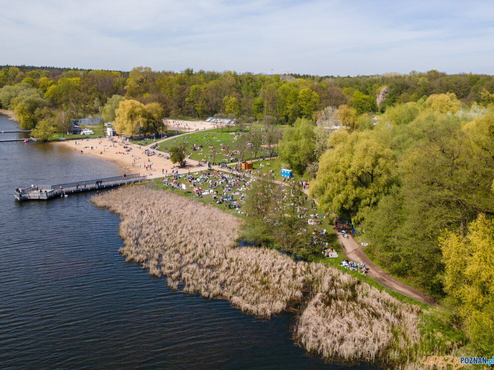 Jezioro Rusałka, plaża, miejsce do grilowania  Foto: lepszyPOZNAN.pl / Piotr Rychter