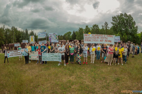 Marsz Solidarności z Osobami Doświadczającymi Kryzysu Psychic  Foto: lepszyPOZNAN.PL/Ewelina Jaskowiak