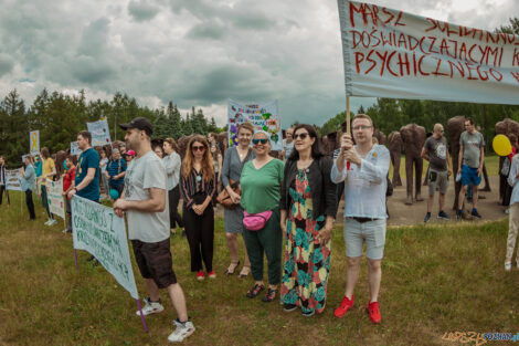 Marsz Solidarności z Osobami Doświadczającymi Kryzysu Psychic  Foto: lepszyPOZNAN.PL/Ewelina Jaskowiak