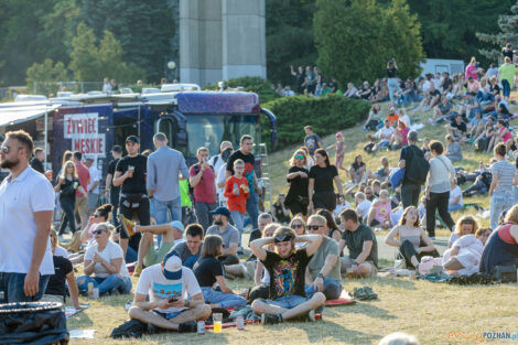 Męskie Granie Poznań  Foto: lepszyPOZNAN.pl/Piotr Rychter