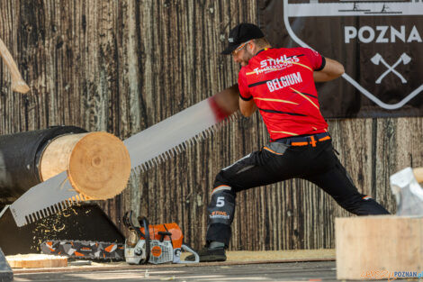 European Trophy Stihl Timbersports  Foto: lepszyPOZNAN.pl/Piotr Rychter