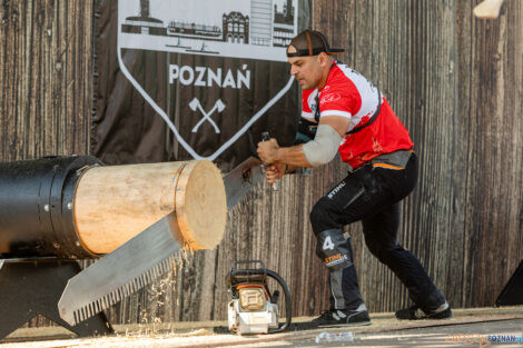 European Trophy Stihl Timbersports  Foto: lepszyPOZNAN.pl/Piotr Rychter