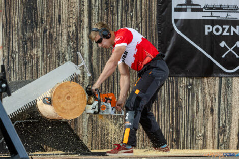 European Trophy Stihl Timbersports  Foto: lepszyPOZNAN.pl/Piotr Rychter