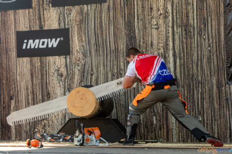 European Trophy Stihl Timbersports  Foto: lepszyPOZNAN.pl/Piotr Rychter