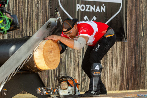 European Trophy Stihl Timbersports  Foto: lepszyPOZNAN.pl/Piotr Rychter